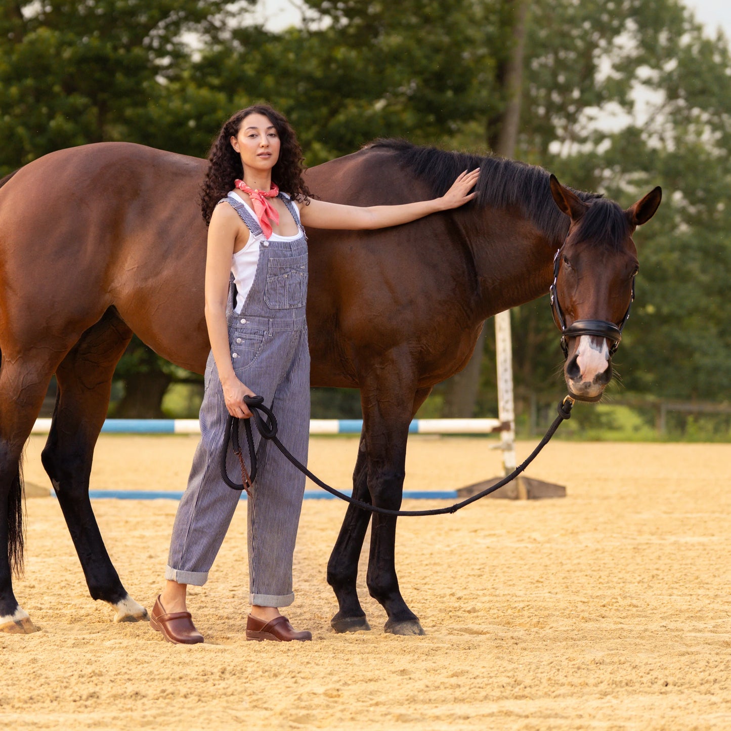 Professional Saddle Full Grain