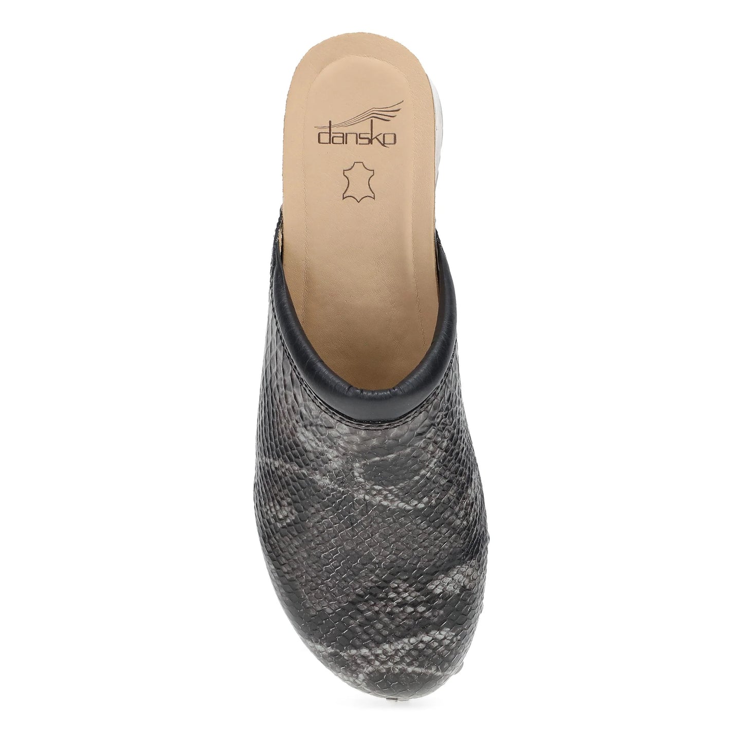 Andie Grey Snake